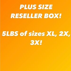PLUS SIZE Reseller Box! Sizes XL, 2X & 3X!